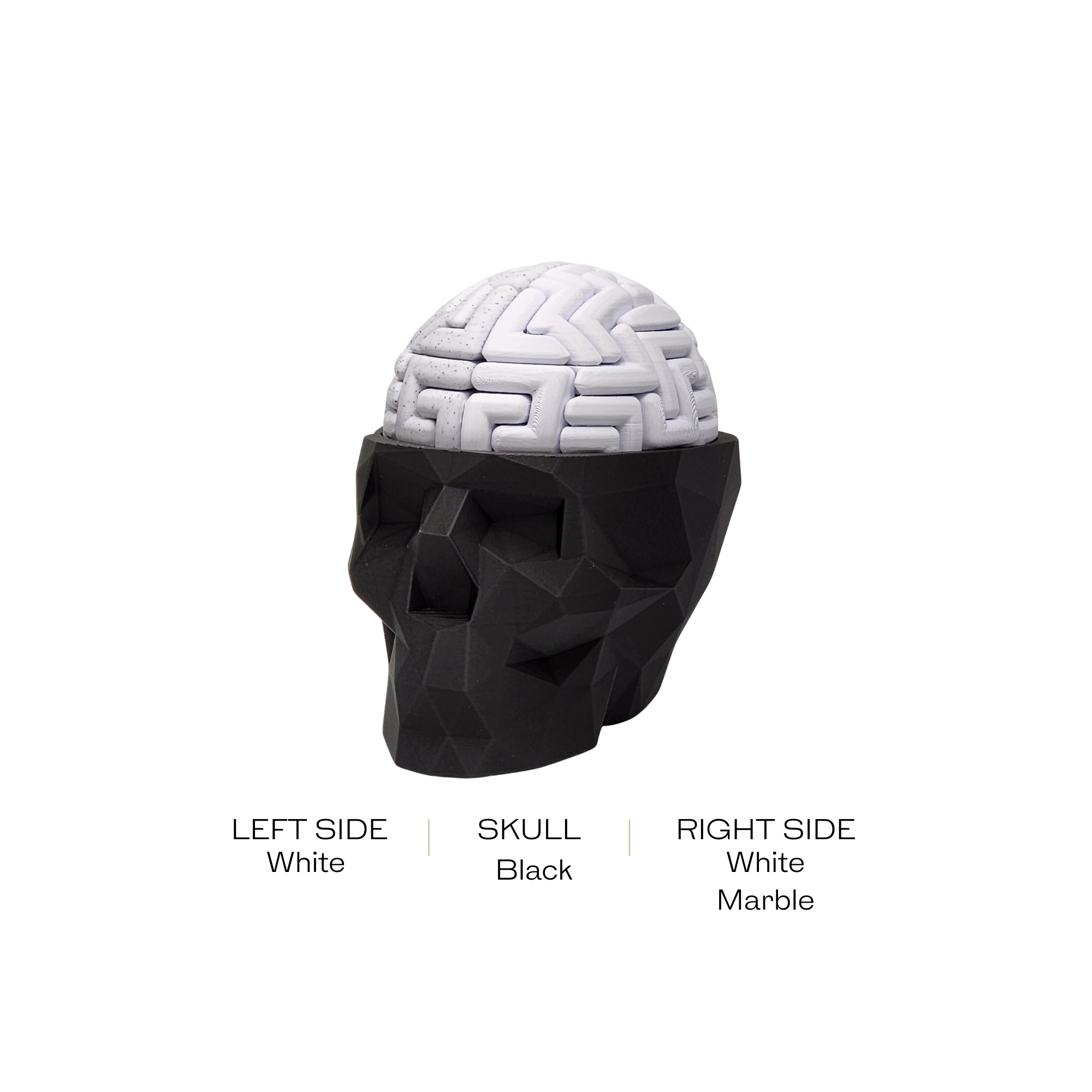 3D Brain Puzzle / 3D 🧠 Puzzle 28 Left Brain Pieces & 28 Right